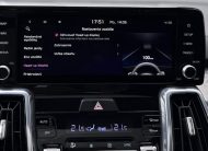 Kia Sorento 1.6 T-GDI PHEV 4X4 PLATINUM 360°KAMERA PANORAMA HEAD-UP BOSE VIRTUAL R19, A/T