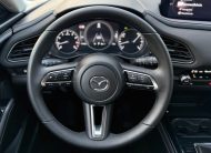 Mazda CX-30 2.5 e-Skyactiv G140 mHEV NAGISA HEAD-UP BOSE KAMERA /VOZIDLO V PLNEJ ZÁRUKE/ A/T