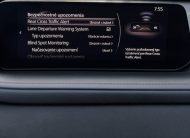 Mazda CX-30 2.5 e-Skyactiv G140 mHEV NAGISA HEAD-UP BOSE KAMERA /VOZIDLO V PLNEJ ZÁRUKE/ A/T
