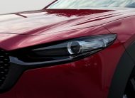 Mazda CX-30 2.5 e-Skyactiv G140 mHEV NAGISA HEAD-UP BOSE KAMERA /VOZIDLO V PLNEJ ZÁRUKE/ A/T